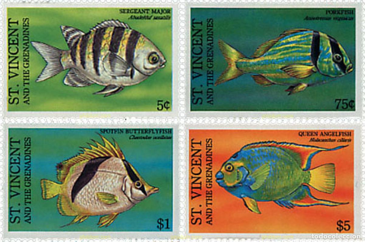Sellos: 360402 MNH SAN VICENTE 1993 PECES