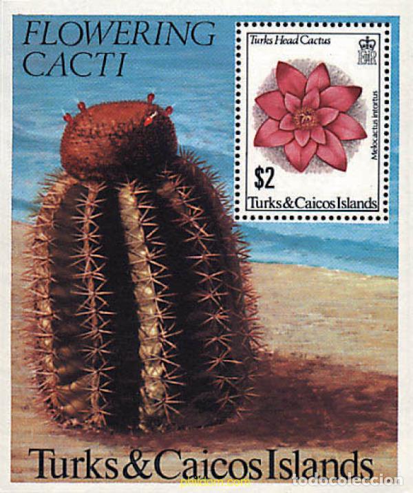 Sellos: 92357 MNH TURKS Y CAICOS 1981 FLORES DE CACTUS