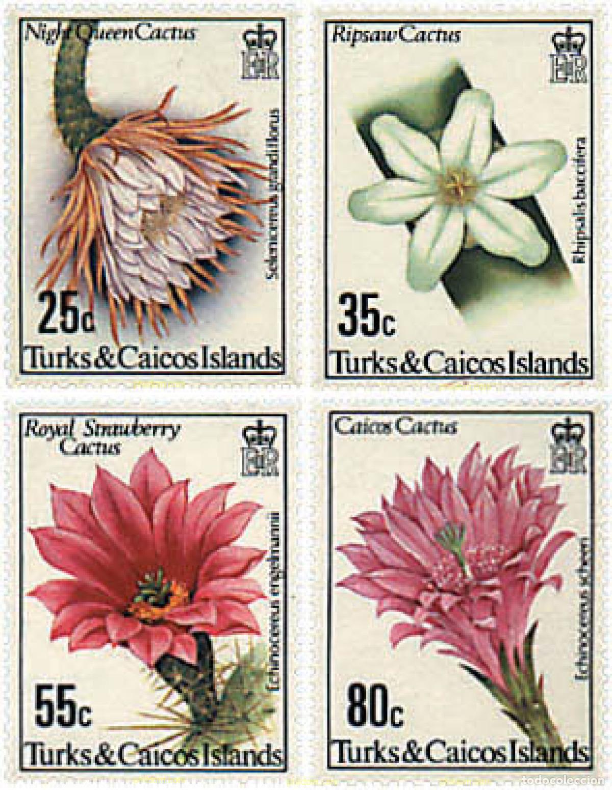 Sellos: 92356 MNH TURKS Y CAICOS 1981 FLORES DE CACTUS