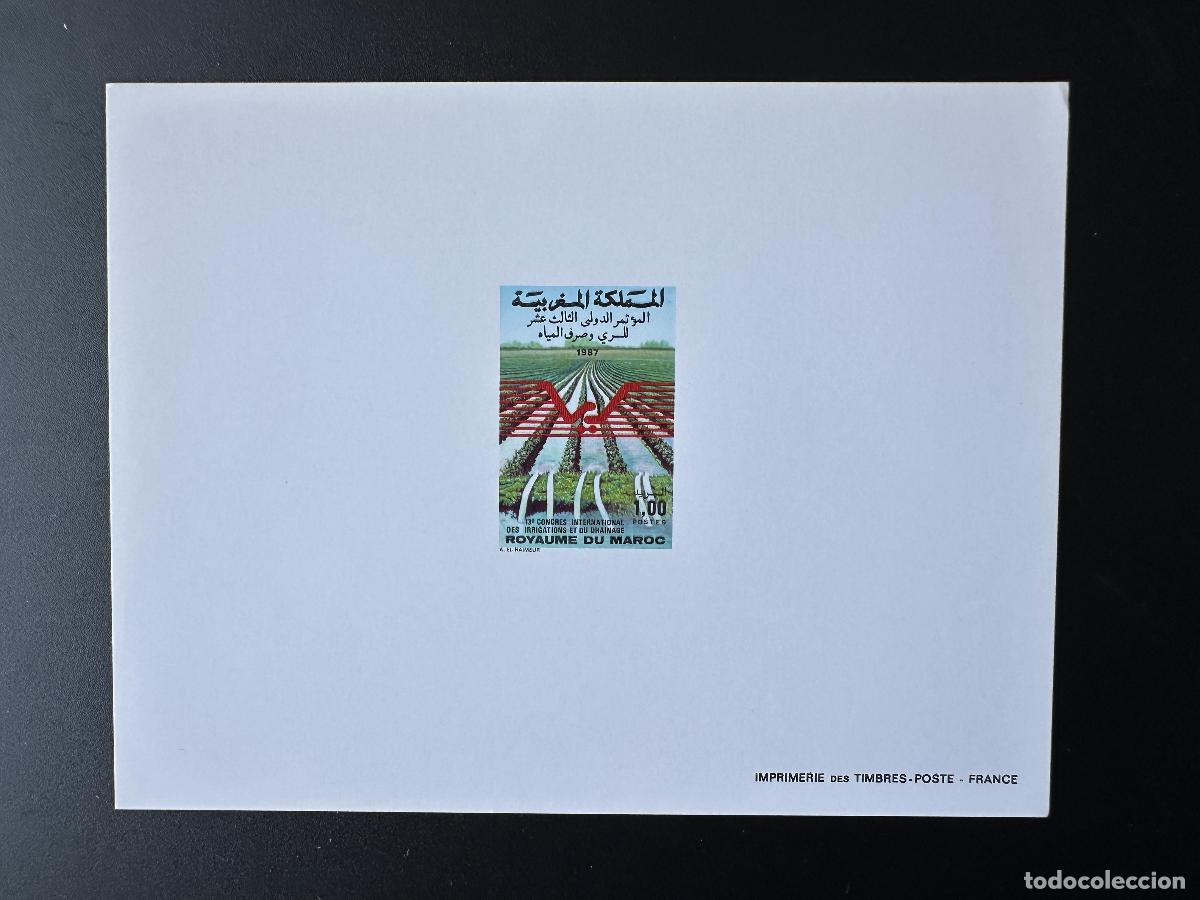 Sellos: Marruecos 1987 Mi. 1125 evento de lujo Irrigaci&oacute;n Drenaje Congreso Agricultura Agua