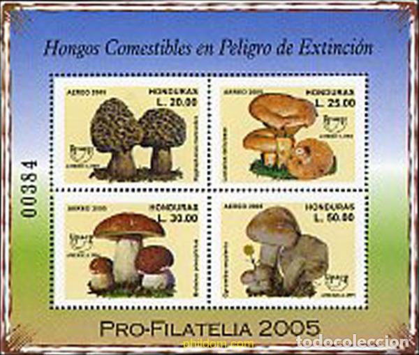 Sellos: 277484 MNH HONDURAS 2005 SETAS COMESTIBLES EN PELIGRO DE EXTICION