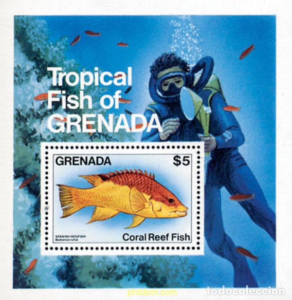 Sellos: 63287 MNH GRANADA 1984 FAUNA MARINA