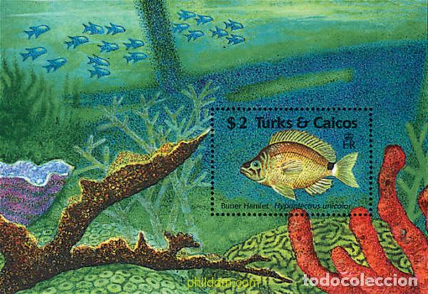 Sellos: 299287 MNH TURKS Y CAICOS 1990 FAUNA MARINA