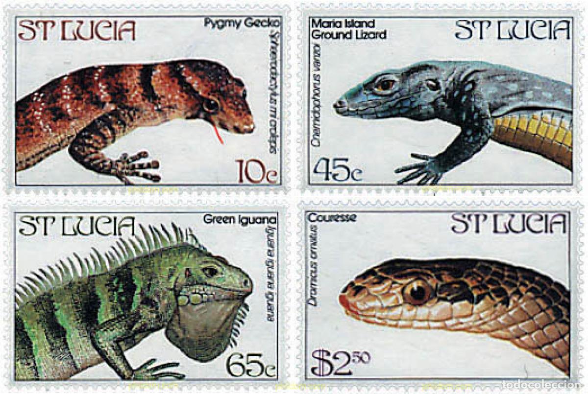 Sellos: 92668 MNH SANTA LUCIA 1984 REPTILES