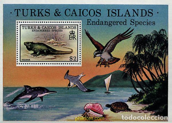 Sellos: 35961 MNH TURKS Y CAICOS 1979 FAUNA EN PELIGRO DE EXTINCION