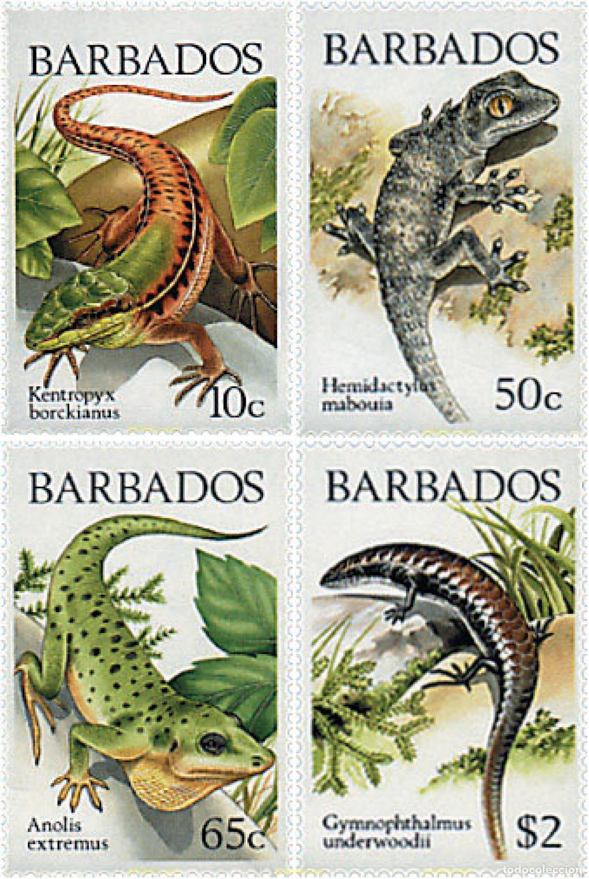 Sellos: 28270 MNH BARBADOS 1988 LAGARTOS