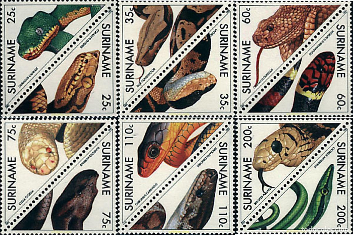 Sellos: 149702 MNH SURINAM 1991 SERPIENTES