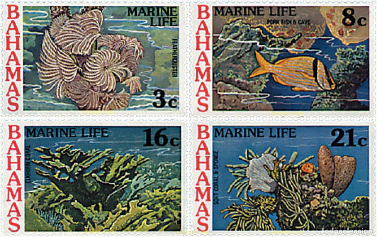Sellos: 51754 MNH BAHAMAS 1977 FAUNA MARINA