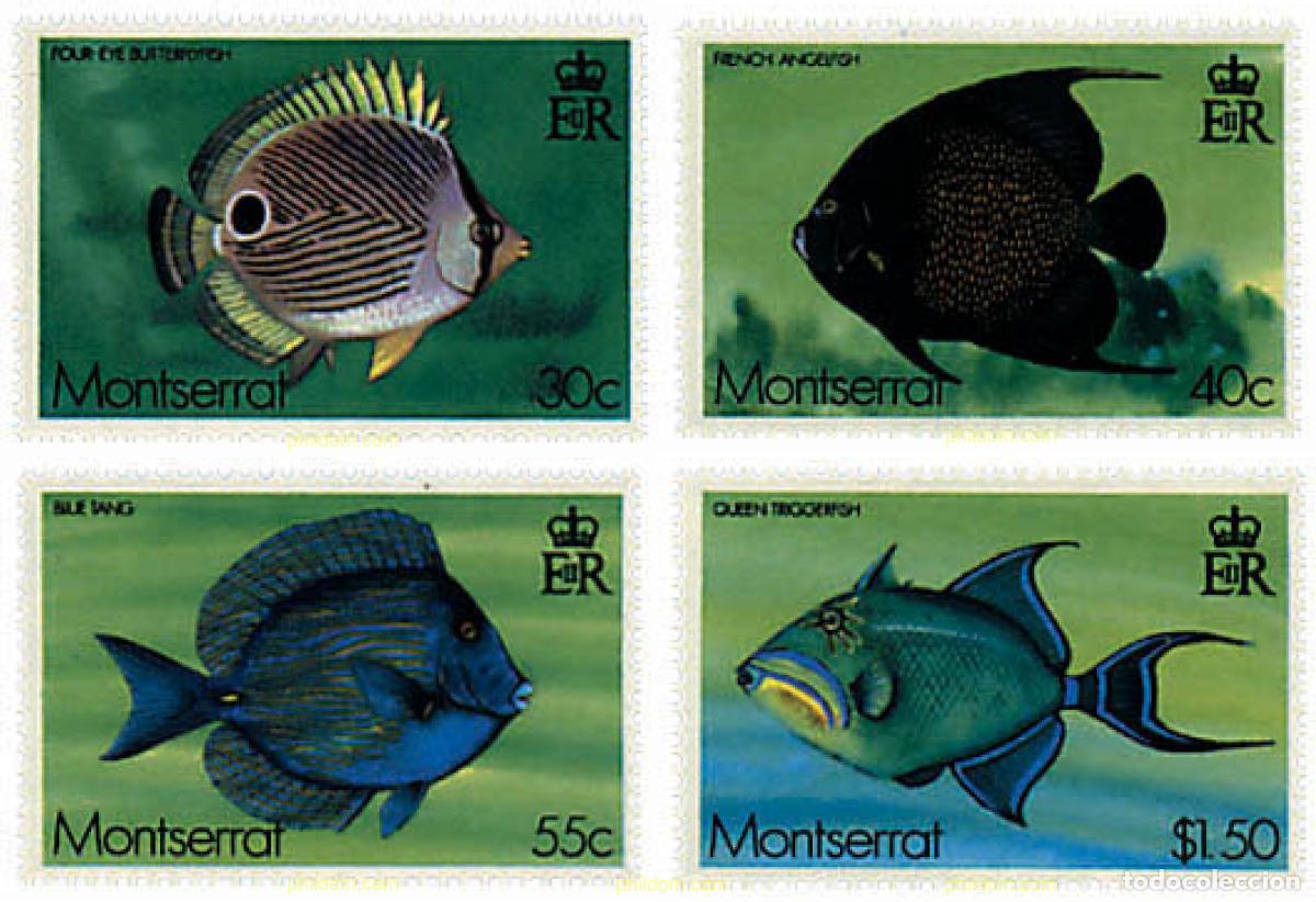 Sellos: 28423 MNH MONTSERRAT 1978 PECES TROPICALES