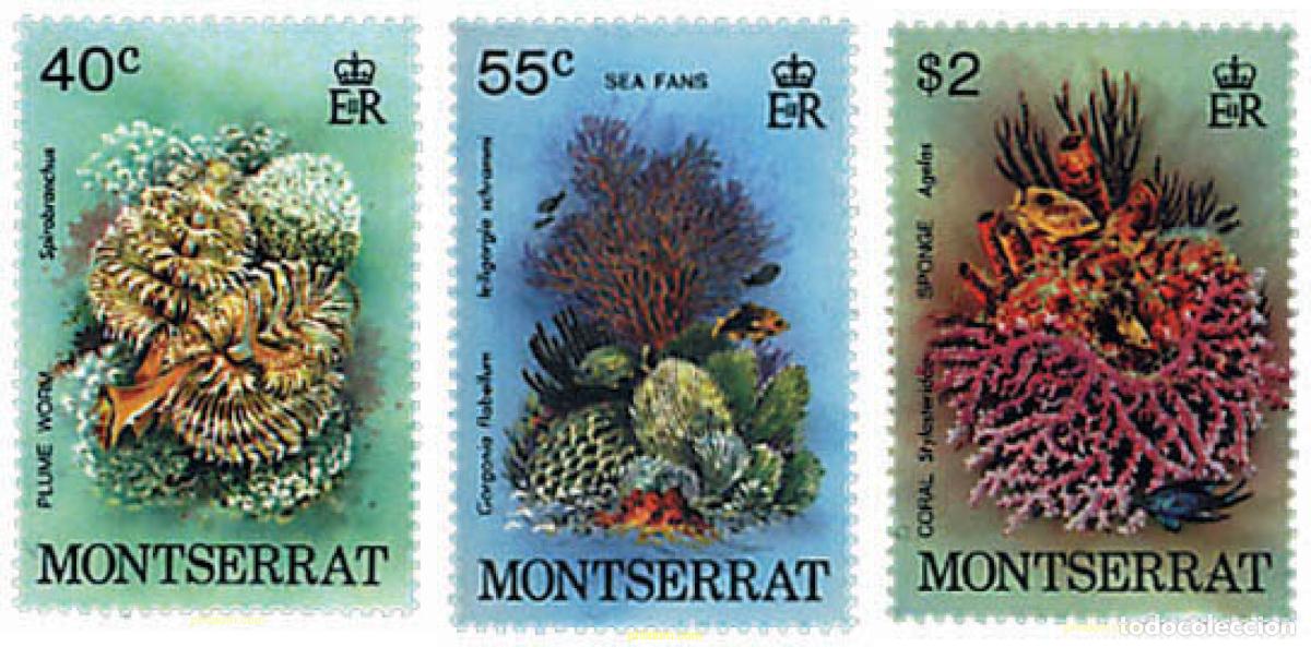 Sellos: 51798 MNH MONTSERRAT 1979 FAUNA Y FLORA MARINA