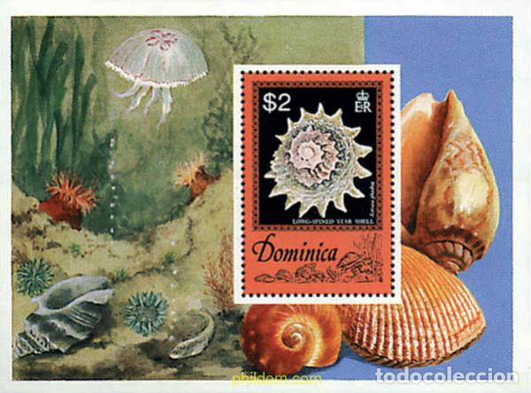 Sellos: 52859 MNH DOMINICA 1976 CONCHAS