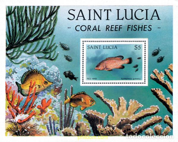 Sellos: 54563 MNH SANTA LUCIA 1983 PECES