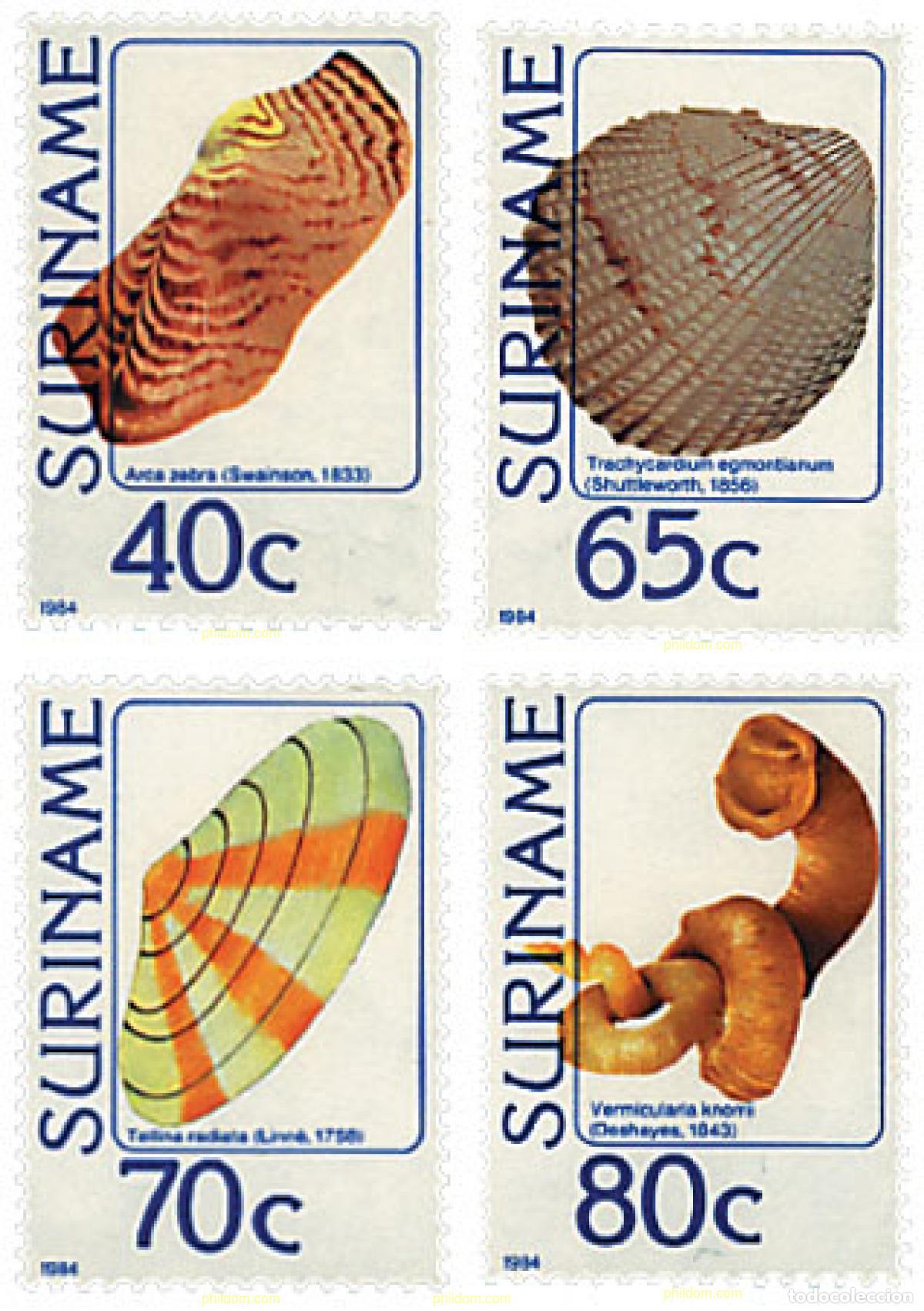 Sellos: 91255 MNH SURINAM 1984 CONCHAS