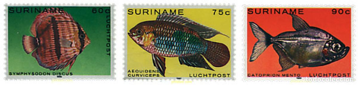 Sellos: 207565 MNH SURINAM 1980 PECES TROPICALES