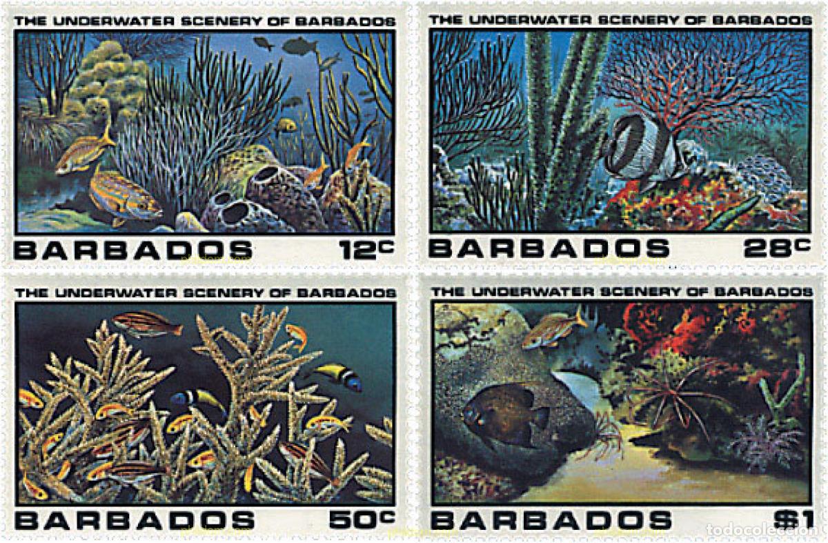 Sellos: 28492 MNH BARBADOS 1980 FAUNA MARINA