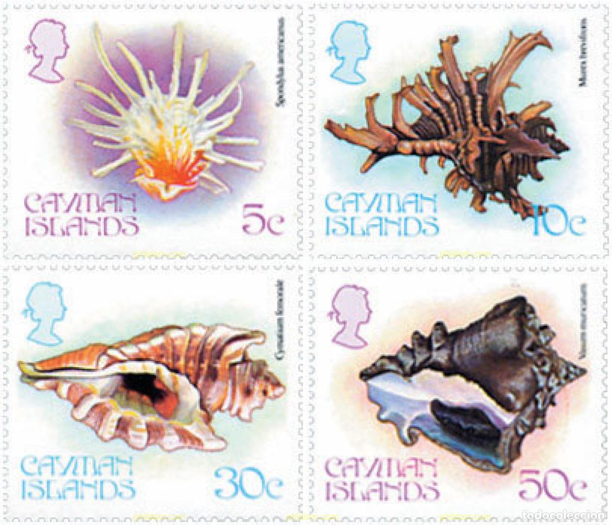 Sellos: 53163 MNH CAIMAN Islas 1980 FAUNA MARINA. CONCHAS