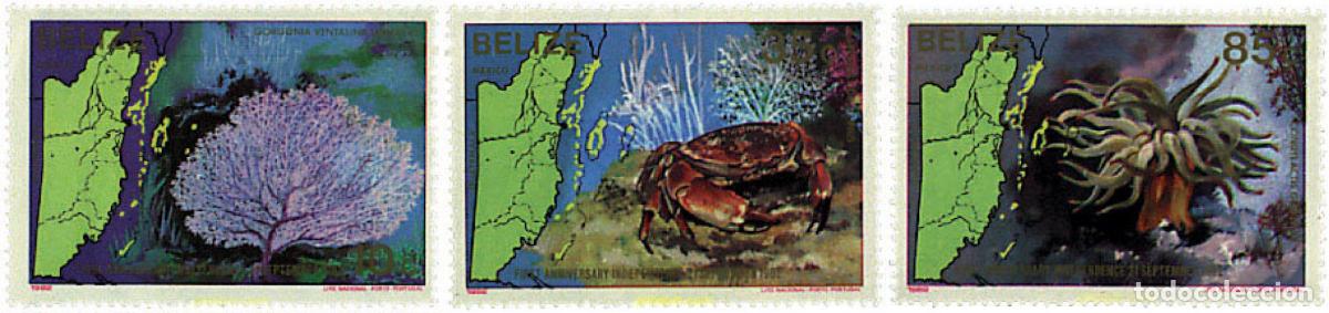 Sellos: 291610 MNH BELIZE 1982 PRIMER ANIVERSARIO DE LA INDEPENDENCIA. FAUNA MARINA