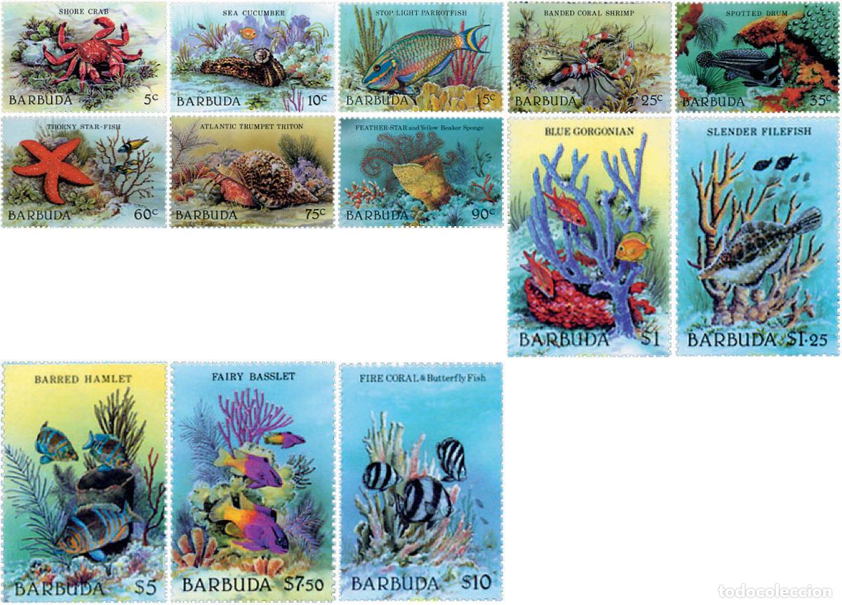 Sellos: 51757 MNH BARBUDA 1987 FAUNA MARINA