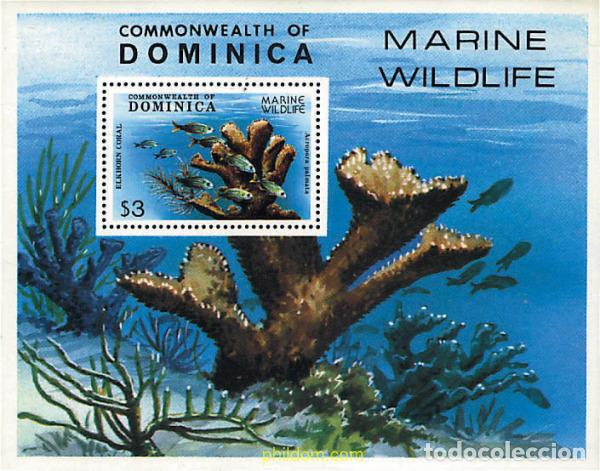 Sellos: 54569 MNH DOMINICA 1979 FAUNA MARINA