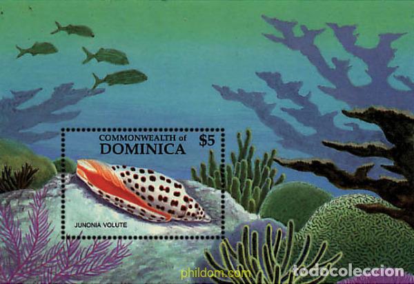 Sellos: 48626 MNH DOMINICA 1987 CONCHAS