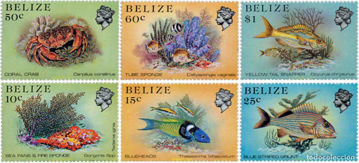 Sellos: 145856 MNH BELIZE 1984 FAUNA MARINA