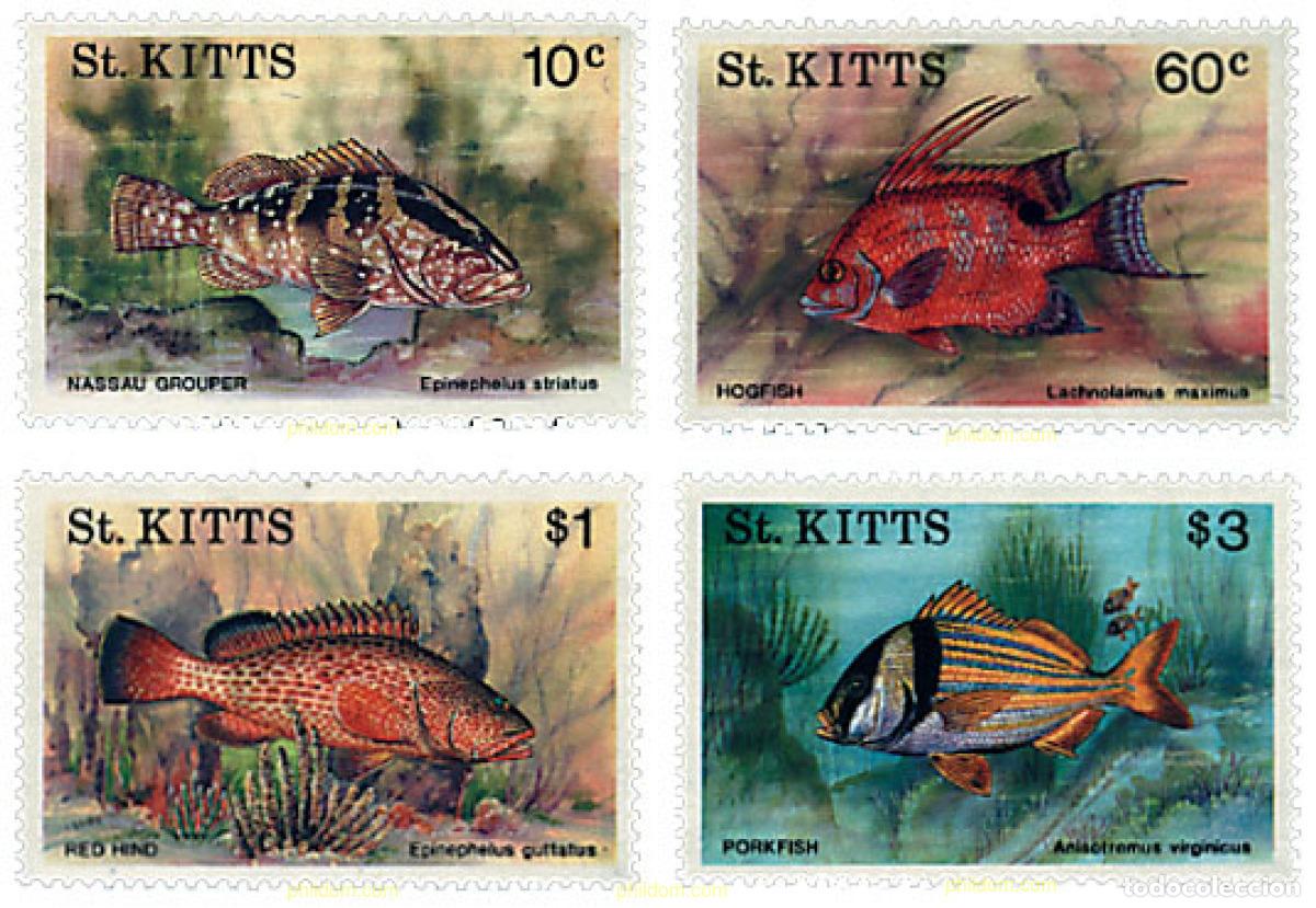 Sellos: 93042 MNH SAN KITTS 1991 PECES TROPICALES
