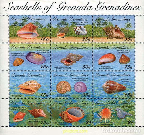 Sellos: 296672 MNH GRANADA GRANADINAS 1993 CONCHAS DE GRANADA GRANADINAS