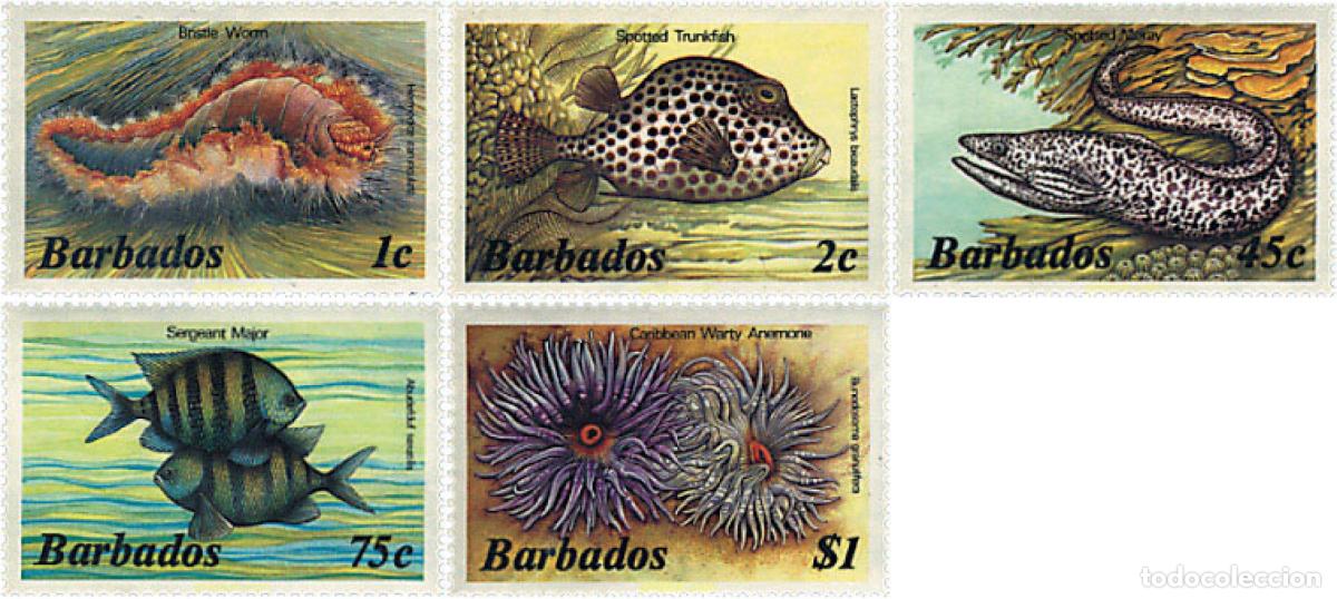 Sellos: 290211 MNH BARBADOS 1985 FAUNA MARINA