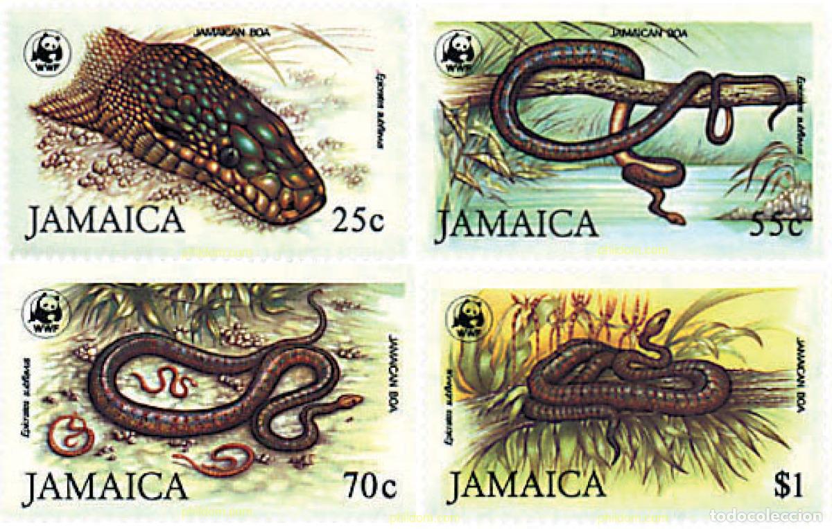 Sellos: 74058 MNH JAMAICA 1984 BOA DE JAMAICA