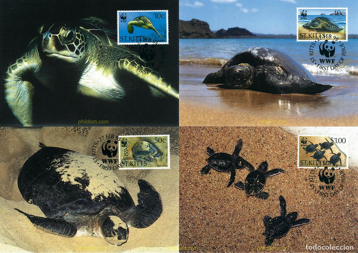 Sellos: 7412 MNH SAN KITTS 1995 TORTUGA VERDE
