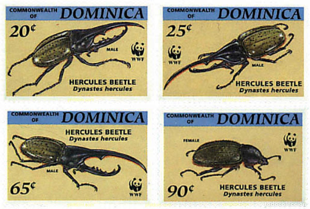 Sellos: 74123 MNH DOMINICA 1994 ESCARABAJO HERCULES