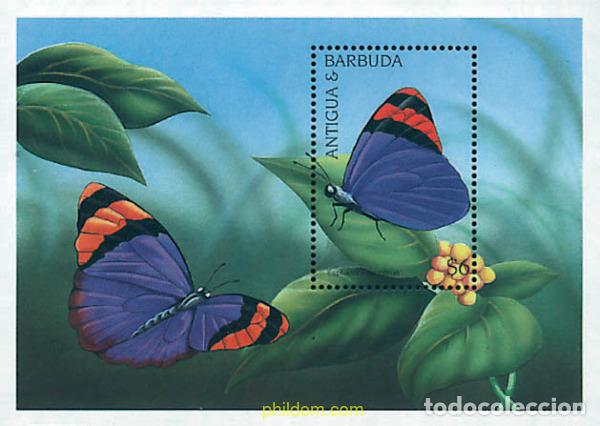 Sellos: 286615 MNH ANTIGUA Y BARBUDA 1997 MARIPOSAS AFRICANAS