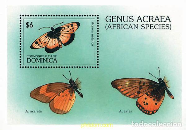 Sellos: 675711 MNH DOMINICA 1997 MARIPOSAS
