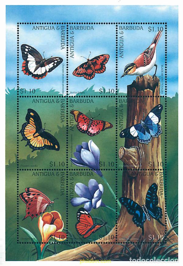 Sellos: 651368 MNH ANTIGUA Y BARBUDA 1997 PAJAROS Y MARIPOSAS AFRICANAS
