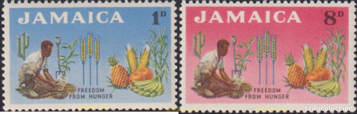 Sellos: 175665 MNH JAMAICA 1963 CAMPA&Ntilde;A MUNDIAL CONTRA EL HAMBRE