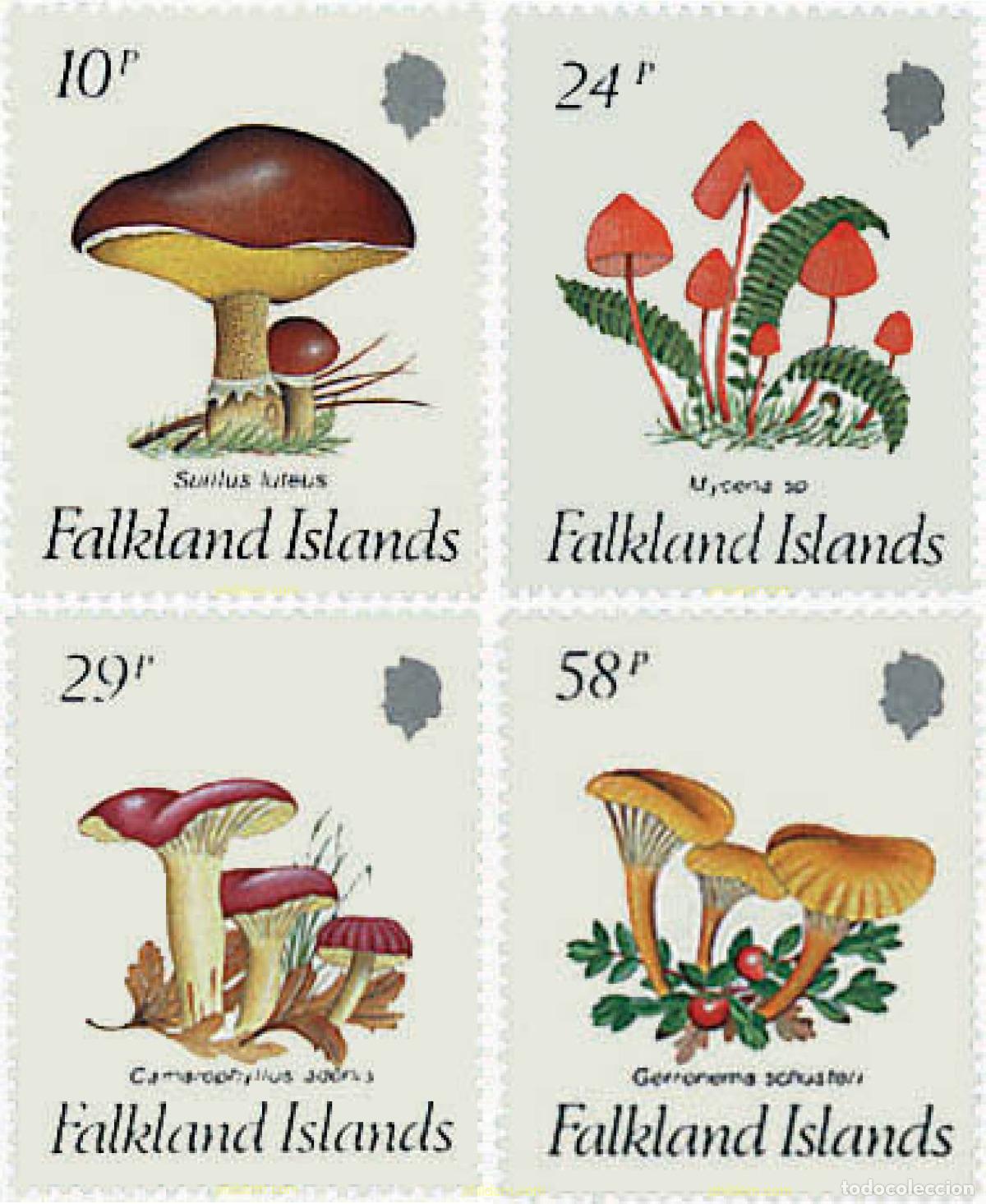 Sellos: 36221 MNH FALKLAND 1987 SETAS