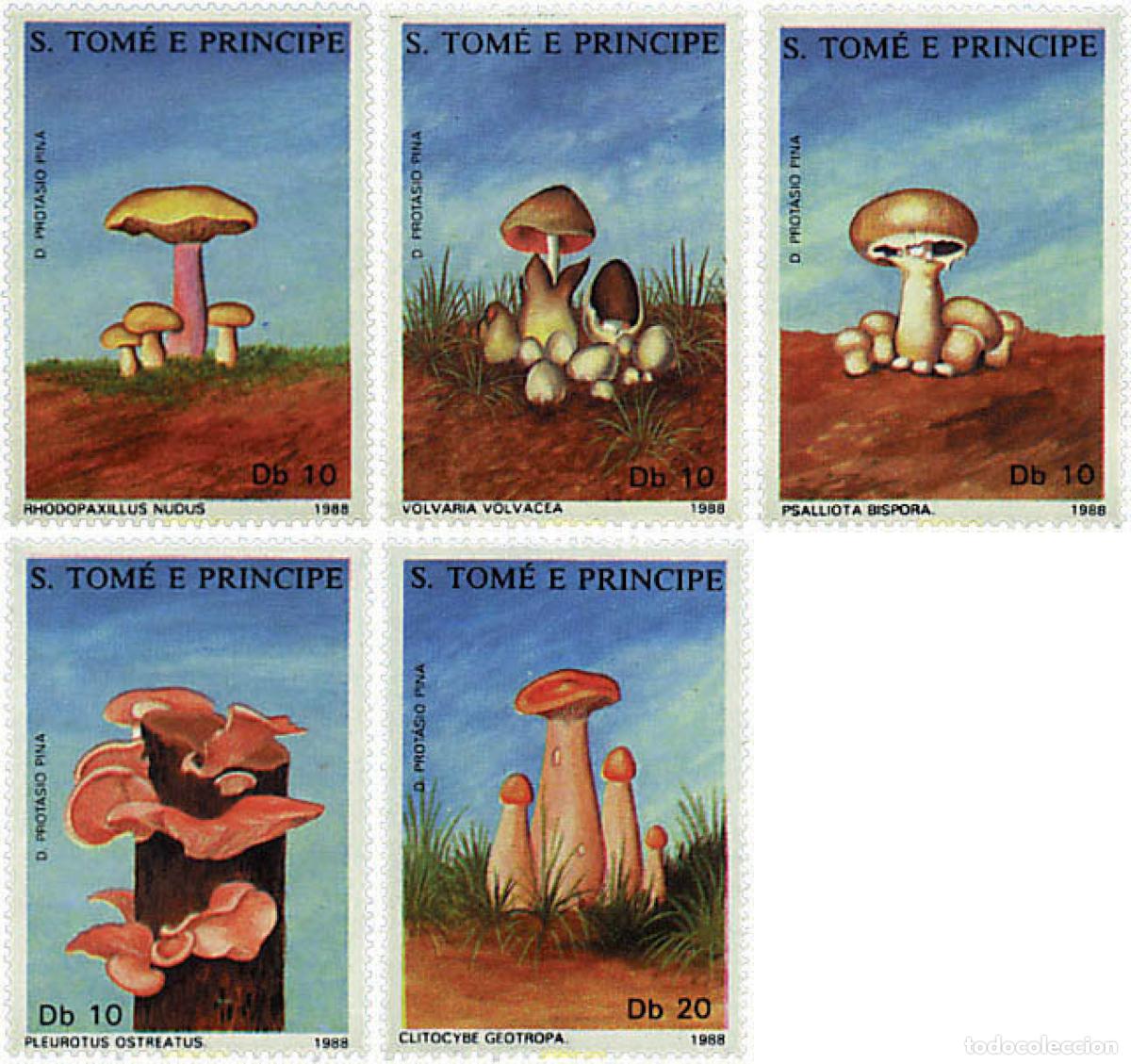 Sellos: 36175 MNH SANTO TOME Y PRINCIPE 1988 SETAS
