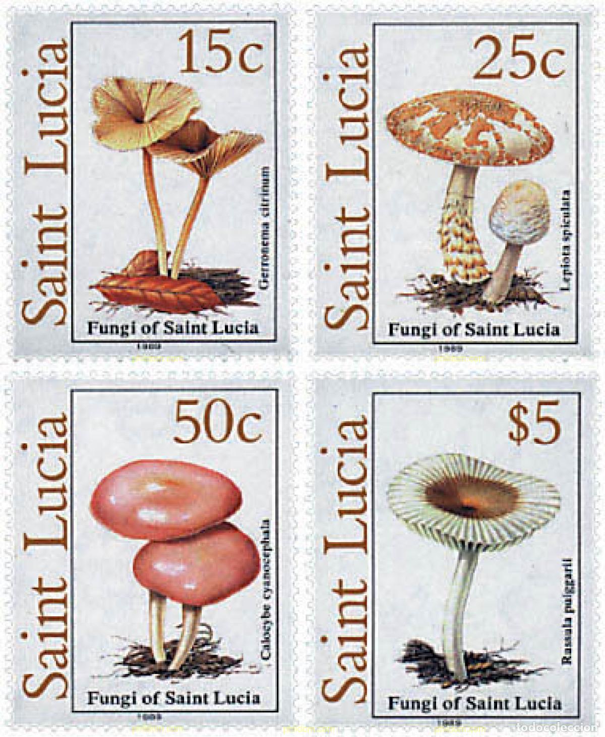 Sellos: 83791 MNH SANTA LUCIA 1989 SETAS
