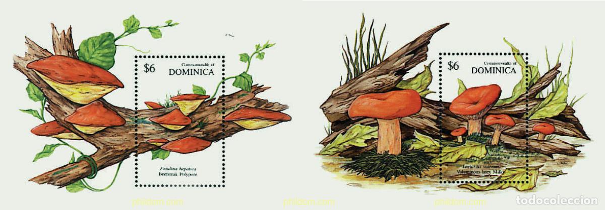 Sellos: 34600 MNH DOMINICA 1991 SETAS