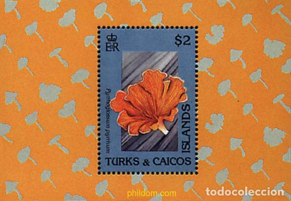 Sellos: 237837 MNH TURKS Y CAICOS 1991 SETAS