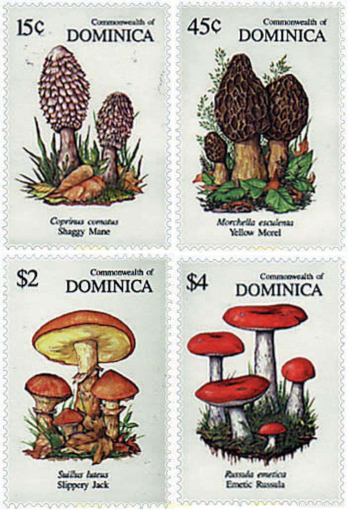 Selos: 199451 MNH DOMINICA 1991 SETAS