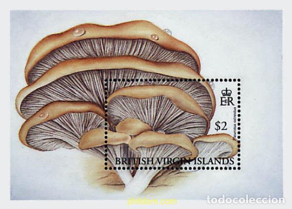 Selos: 37382 MNH VIRGENES BRITANICAS Islas 1992 SETAS