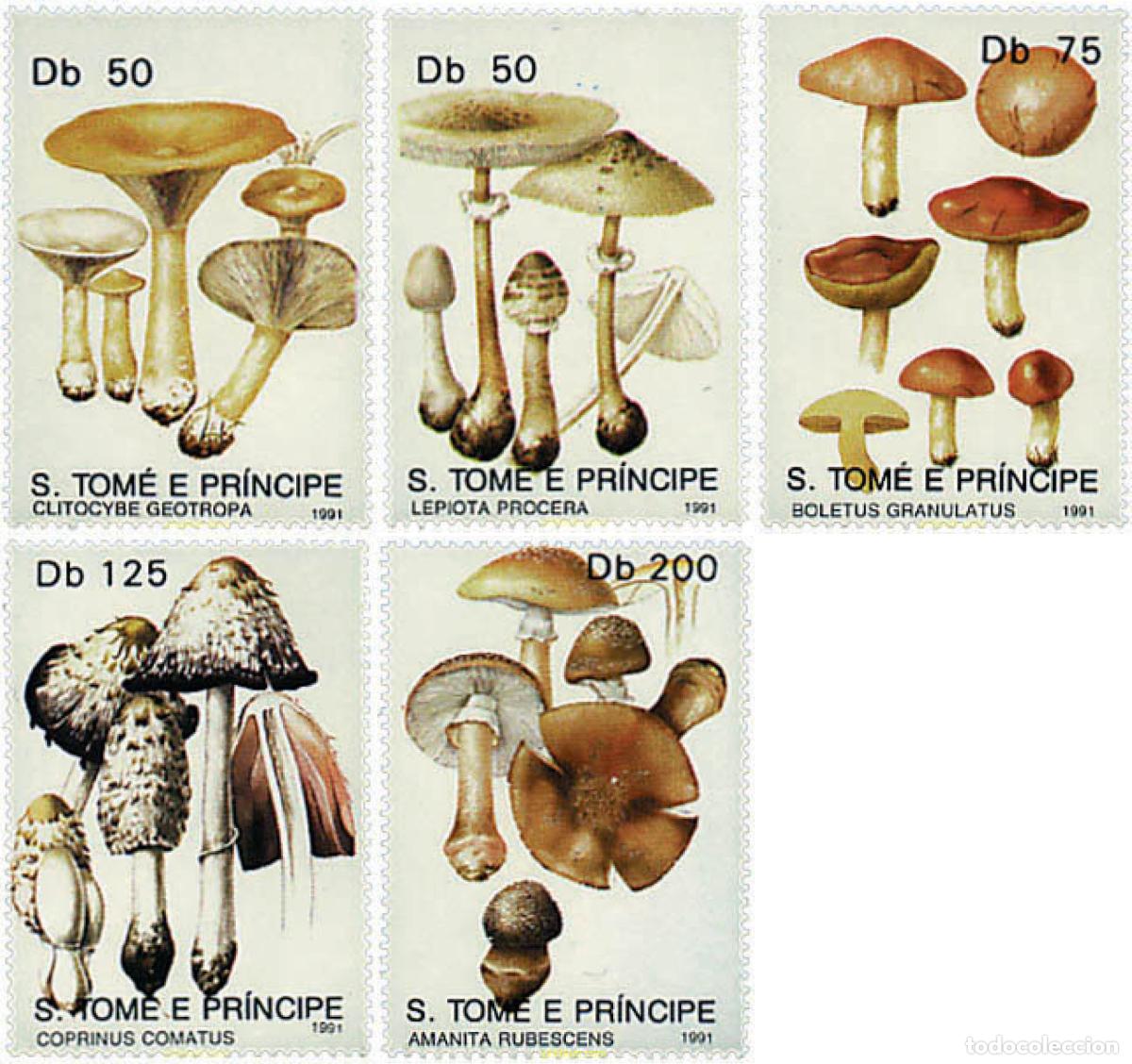 Sellos: 34520 MNH SANTO TOME Y PRINCIPE 1991 SETAS