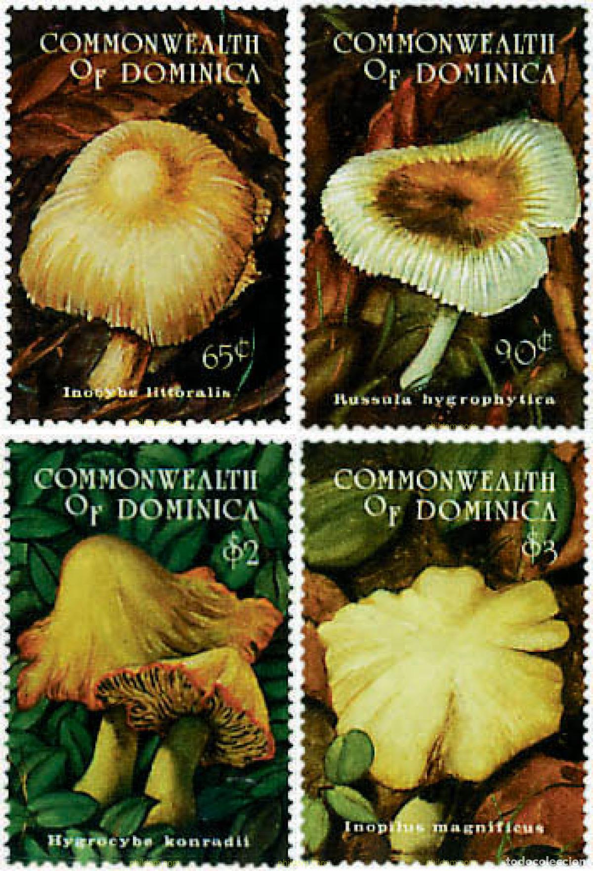 Sellos: 306877 MNH DOMINICA 1994 SETAS