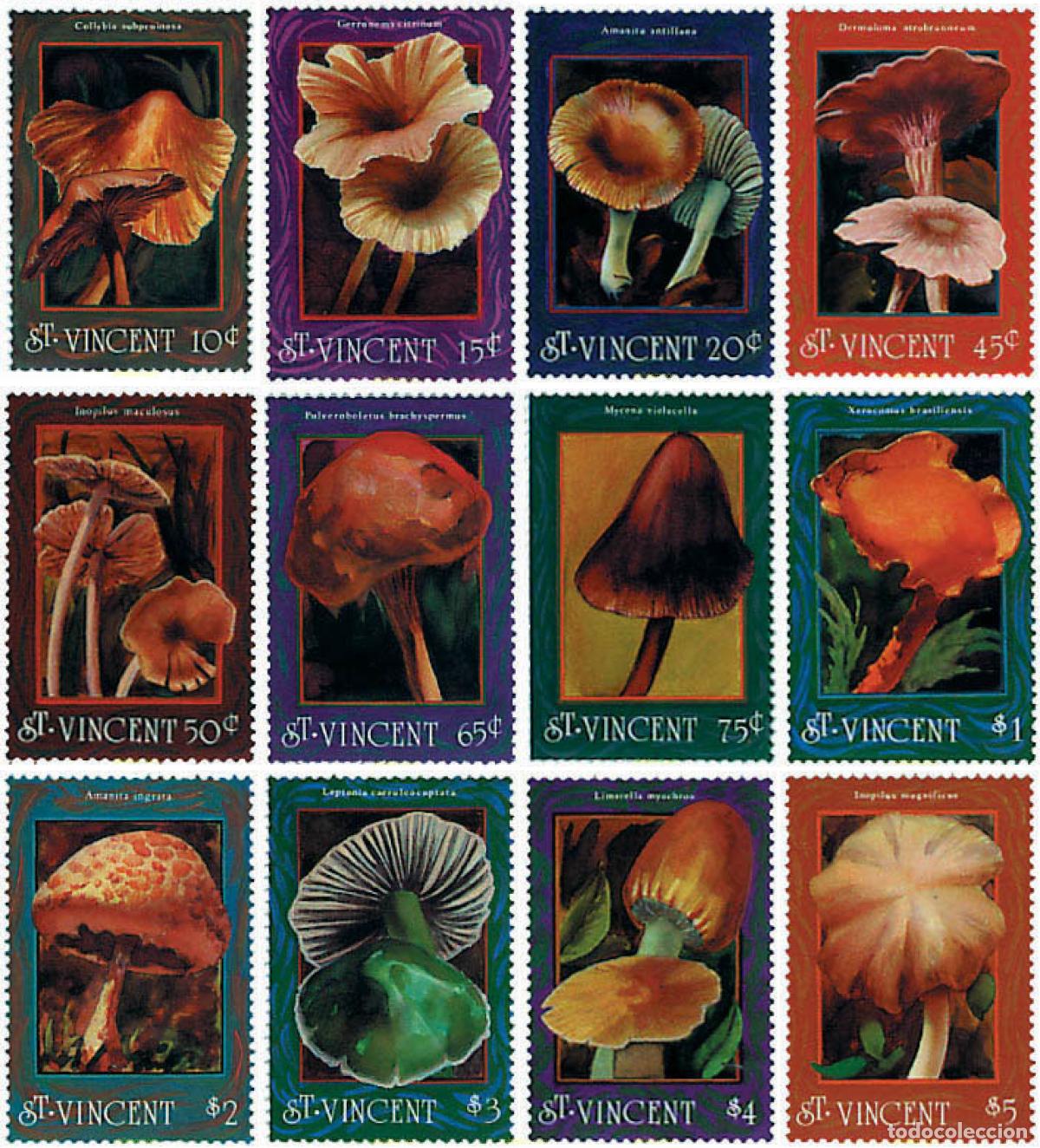 Sellos: 36502 MNH SAN VICENTE 1992 SETAS
