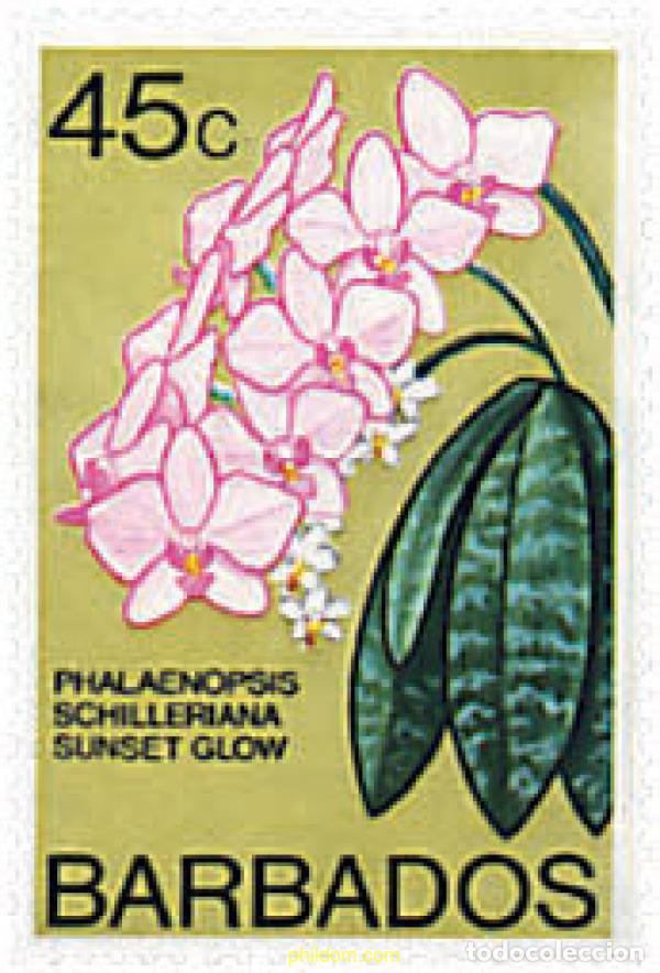 Francobolli: 338098 MNH BARBADOS 1977 ORQUIDEAS