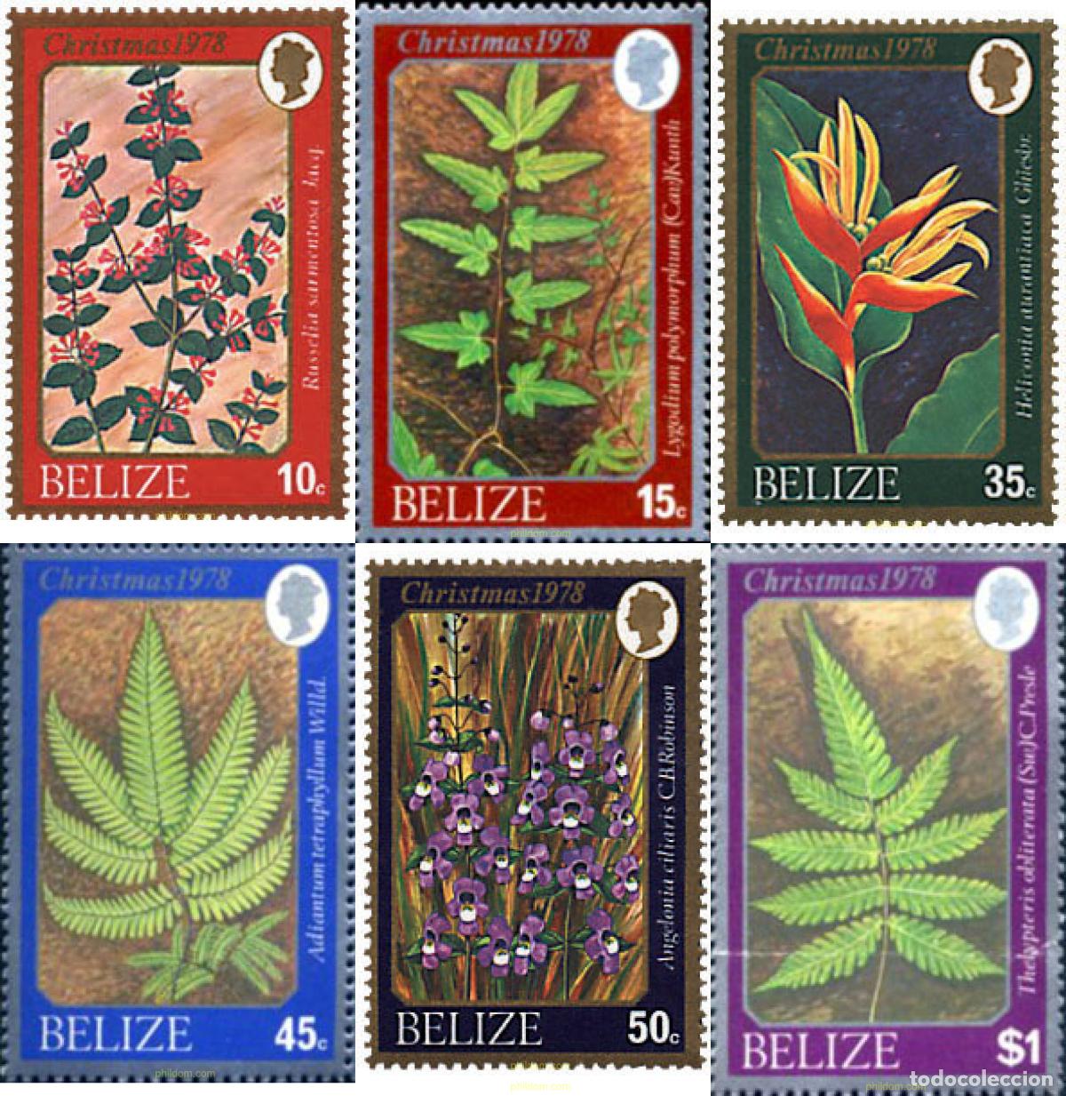 Sellos: 98187 MNH BELIZE 1978 FLORA SILVESTRE