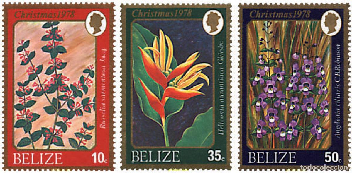 Sellos: 267605 MNH BELIZE 1978 FLORA SILVESTRE