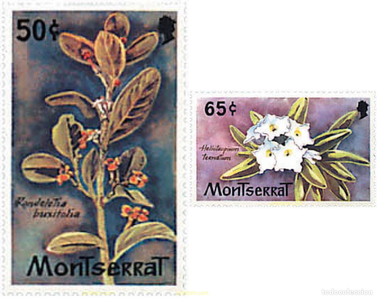 Sellos: 300741 MNH MONTSERRAT 1982 FLORA SILVESTRE