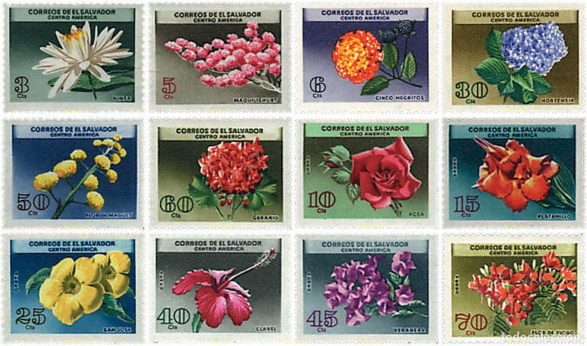 Sellos: 88670 MNH EL SALVADOR 1965 FLORES DE EL SALVADOR